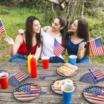 Patriotic Tableware Set - 96 Pieces for Celebrations