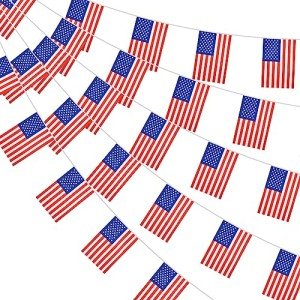 38-Piece Mini American Flag Pennant Banner