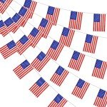 38-Piece Mini American Flag Pennant Banner