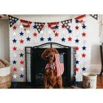 Red, White & Blue Star Garland for Celebrations