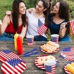 USA Flag Tableware Set for 25 Guests