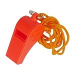 72-Hour Emergency Kit for 4 People