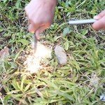 Survival Flint Steel Fire Starter Kit with Lanyard