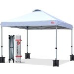 Durable 10x10 Pop-up Canopy Tent with Roller Bag