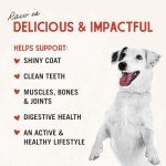 Stella & Chewy's Freeze-Dried Beef Dog Food Patties