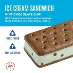Mountain House Mint Chocolate Chip Ice Cream Sandwich