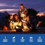 Mountain House Freeze-Dried Vanilla Ice Cream Sandwich