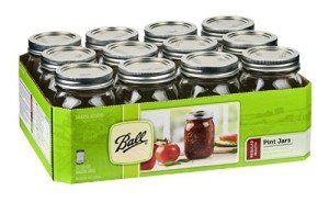 12-Pack Regular Mouth 16oz Mason Jars