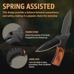 Tactical Spring Assisted Knife with Wood Handle