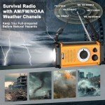 5-Way Powered Emergency Crank Weather Radio