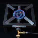 COOKAMP Portable Camp Propane Burner with Regulator