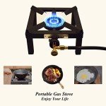 COOKAMP Portable Camp Propane Burner with Regulator