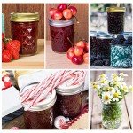 24 Pack of 8 oz Mason Jars with Lids