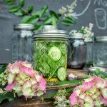 SKOCHE 8 oz Mason Jars - 24 Pack