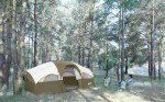 Spacious 8-Person Weatherproof Camping Tent - Olive