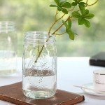 32 oz Wide Mouth Mason Jars – Set of 12