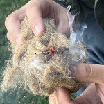 2 Pack Bow Drill Fire Starter Kit for Survival