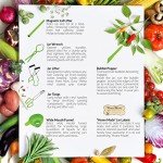 Supa Ant Beginner Canning Kit - Stainless Steel Set