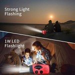Solar Hand Crank Radio with Flashlight and Power Bank