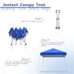 Portable 10x10 FT Pop-Up Canopy Tent