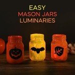 16 oz Mason Jars with Lids - 15 Pack