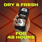 Axe Long-Lasting Fresh Antiperspirant Stick for Men