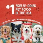 Stella & Chewy's Freeze Dried Raw Dinner Patties – Grain Free Dog Food, Protein Rich Stella’s Super Beef Recipe – 25 oz Bag