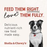 Stella & Chewy's Freeze Dried Raw Dinner Patties – Grain Free Dog Food, Protein Rich Stella’s Super Beef Recipe – 25 oz Bag