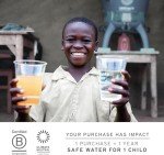 LifeStraw Peak Series Water Filter - 1L, Dark Mountain Gray, Protects Against Bacteria and Parasites, Ultra-Compact and Versatile