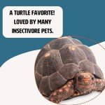 Fluker’s Freeze-Dried Insects - River Shrimp, Turtle Shrimp, Shrimp Turtle Food - Nutrient-Rich Shrimp for Turtles, Reptiles, Birds & Tropical Fish, 1 oz