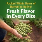 DEL MONTE FRESH CUT BLUE LAKE Cut Green Beans Canned Vegetables,14.5 Ounce (Pack of 12)