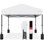 Best Choice Products 10x10ft 1-Person Setup Pop Up Canopy Tent Instant Portable Shelter w/ 1-Button Push, Case, 4 Weight Bags - White