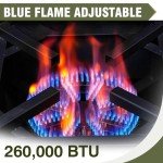 Bestfire 260,000 BTU Outdoor Propane Gas Stove with 0-30 PSI Adjustable Regulator and Steel-Braided Hose for Outdoor Home Cooking and Turkey Frying
