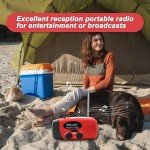 Hand Crank Emergency Radio, AM/FM/NOAA Weather Radio with 2000mAh/7400mWh Battery Operated, Solar Power Bank Radio Flashlight Cell Phone Charger, 4 Power Indicators, SOS Siren for Emergency Kit