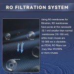 Portable Water Filter with Hybrid and RO Filter, Hiking Water Purifier System for Camping, Survival Gear Purification for Drinking
