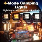Aaoyun Portable Power Station 300W, 296Wh Solar Generator with 100W USB-C In/Output, Night Light & LED Flashlight, Compact Camping Battery with Strap for Outdoor CPAP Home Backup Emergency