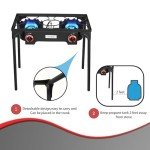 Vivicreate Propane Gas 20 PSIG high pressure regulator outdoor camping camp garden BBQ grill stove burner estufas de gas para cocinar afuera