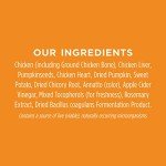 Instinct Raw Boost Mixers Gut Health Freeze-Dried Dog Food Topper, 5.5 oz. Bag