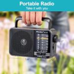 Portable AM/FM Transistor Radio with Loud Speaker, Battery or USB Powered - Compact Emergency Radio for Indoor, Outdoor, Travel & Storms (Model BJL-671)