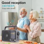 Portable AM/FM Transistor Radio with Loud Speaker, Battery or USB Powered - Compact Emergency Radio for Indoor, Outdoor, Travel & Storms (Model BJL-671)