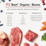 Stella & Chewy's Freeze-Dried Raw Beef Meal Mixers- Dog Food Topper and Mixer - Made with 95% Grass-Fed Beef, Organs & Bone - Perfect for Picky Eaters - Grain-Free - 18 oz