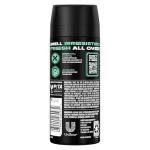AXE Apollo Body Spray Deodorant Sage & Cedarwood for Long-Lasting Odor Protection, Deodorant for Men Formulated Without Aluminum 4.0 oz