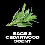 AXE Apollo Body Spray Deodorant Sage & Cedarwood for Long-Lasting Odor Protection, Deodorant for Men Formulated Without Aluminum 4.0 oz