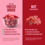 Freeze-Dried Strawberries – Premium Sliced | #10 Can | 25-Year Shelf Life | Emergency Food & Clean Snacking