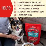 Stella & Chewy's Freeze-Dried Raw Dog Food for Skin & Coat - Grass-Fed Lamb & Wild-Caught Salmon - Natural Solution for Itchy Skin, Dull Coat & Shedding - Premium Raw Nutrition - 13oz