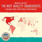 Stella & Chewy's Freeze-Dried Raw Dog Food for Skin & Coat - Grass-Fed Lamb & Wild-Caught Salmon - Natural Solution for Itchy Skin, Dull Coat & Shedding - Premium Raw Nutrition - 13oz