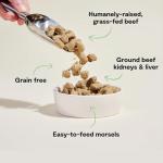 Open Farm, Freeze Dried Raw Dog Food, Morsels with 95% Meat, Organs & Bone, Organic Produce & Superfoods, Complete Meal or Freeze Dried Dog Food Topper, Grass-Fed Beef Recipe, 13.5oz Bag