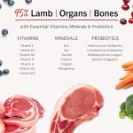 Stella & Chewy's Freeze-Dried Raw Dinner Patties - Dandy Lamb Recipe - High Protein Grain-Free Puppy & Dog Food - Perfect For Picky Eaters - 25 oz