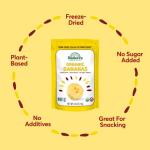 NATIERRA Organic Freeze-Dried Bananas USDA Certified Organic, Vegan & Non-GMO 2.5 Ounce (Pack of 1)