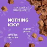 Weruva Cat Freeze Dried, Mideast Feast with Tilapia, 1oz Bag